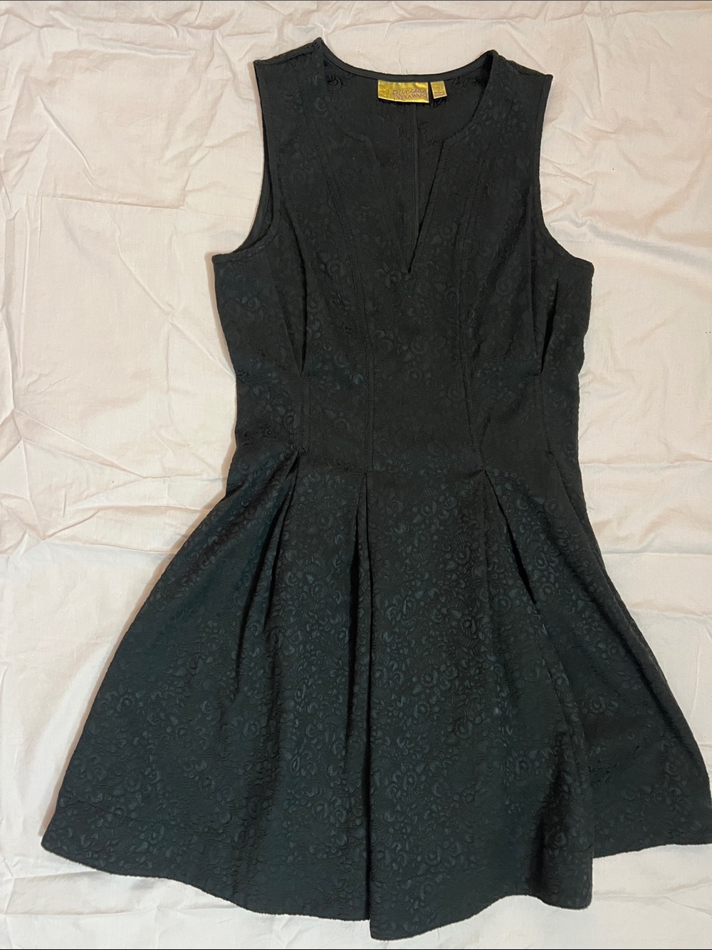 princess vera wang Black Sleeveless Fit-and-Flare Mini Dress